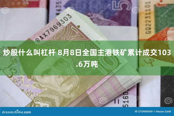 炒股什么叫杠杆 8月8日全国主港铁矿累计成交103.6万吨