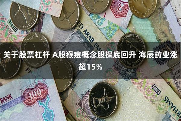 关于股票杠杆 A股猴痘概念股探底回升 海辰药业涨超15%