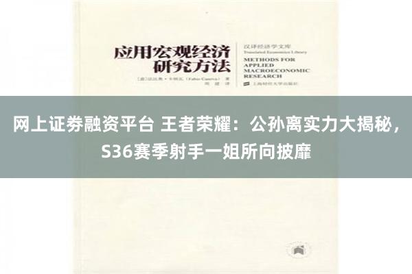 网上证劵融资平台 王者荣耀：公孙离实力大揭秘，S36赛季射手一姐所向披靡