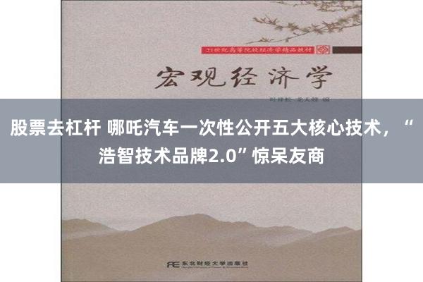 股票去杠杆 哪吒汽车一次性公开五大核心技术，“浩智技术品牌2.0”惊呆友商