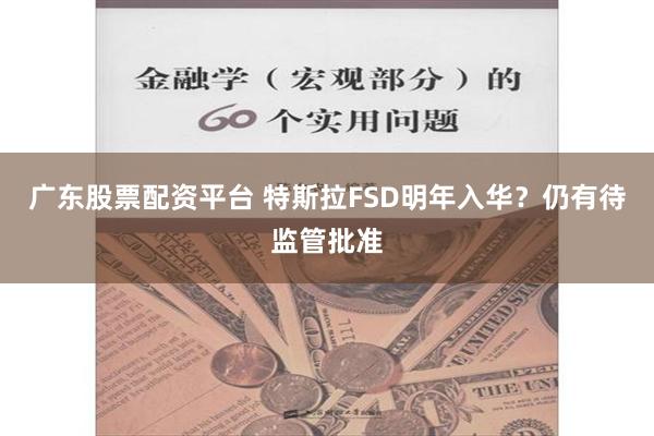 广东股票配资平台 特斯拉FSD明年入华？仍有待监管批准