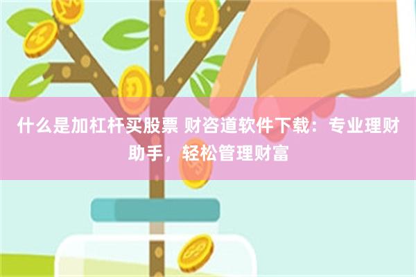 什么是加杠杆买股票 财咨道软件下载：专业理财助手，轻松管理财富