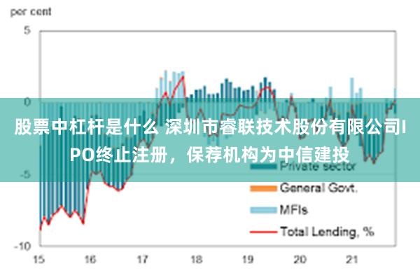 股票中杠杆是什么 深圳市睿联技术股份有限公司IPO终止注册，保荐机构为中信建投