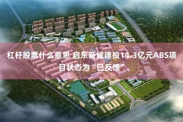 杠杆股票什么意思 启东新城建投14.3亿元ABS项目状态为“已反馈”