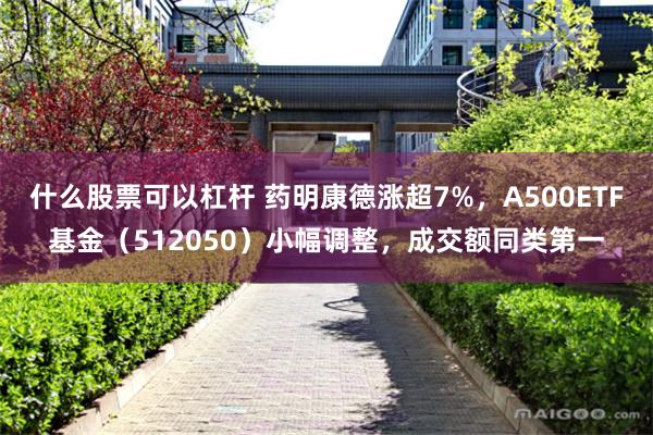 什么股票可以杠杆 药明康德涨超7%，A500ETF基金（512050）小幅调整，成交额同类第一