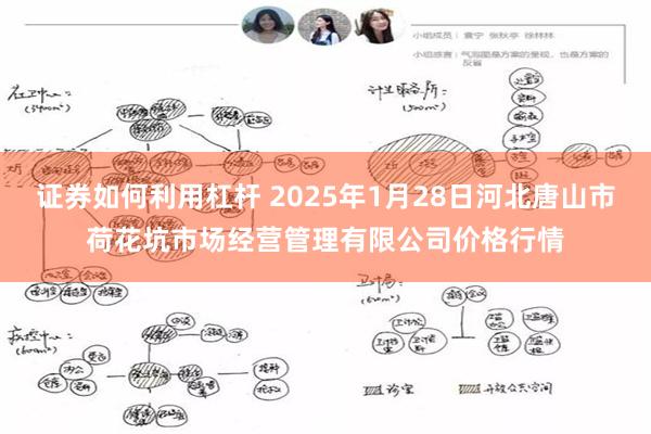 证券如何利用杠杆 2025年1月28日河北唐山市荷花坑市场经营管理有限公司价格行情