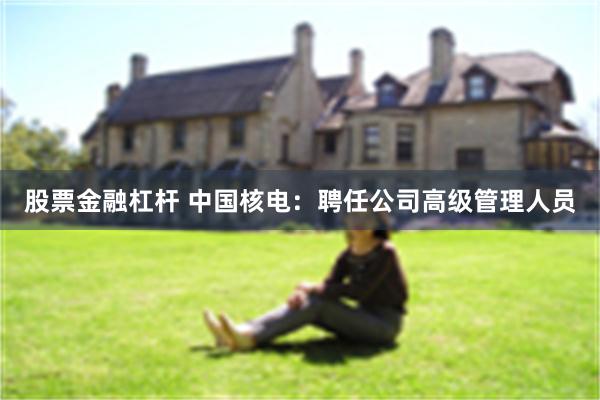 股票金融杠杆 中国核电：聘任公司高级管理人员